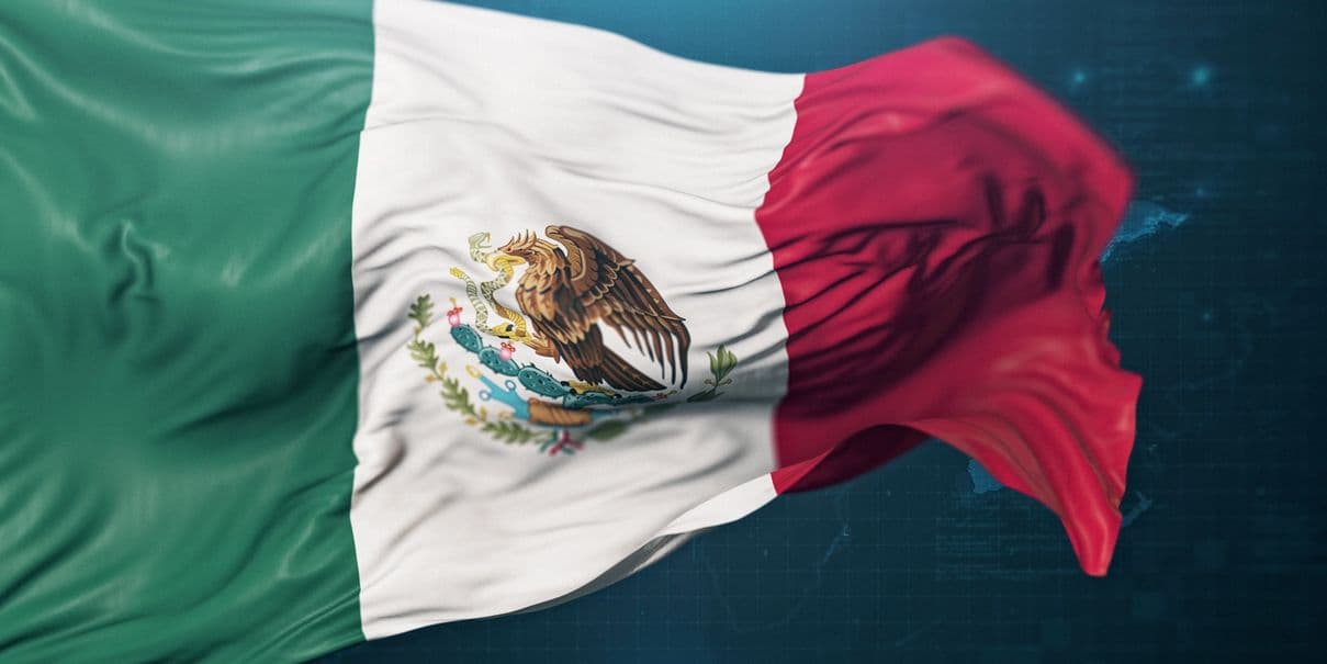 Mexico trade mission banner with the national flag